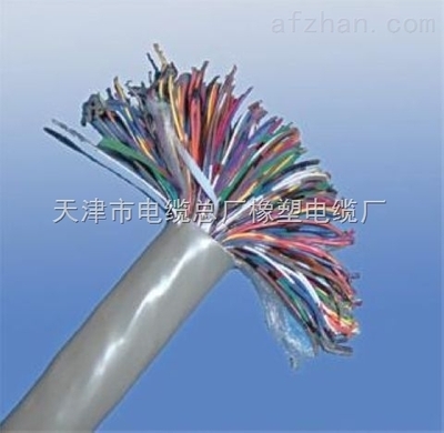HPVV系列室內(nèi)通信與配線電纜 10*2*0.6型號(hào)電話線在安防通訊系統(tǒng)中的應(yīng)用